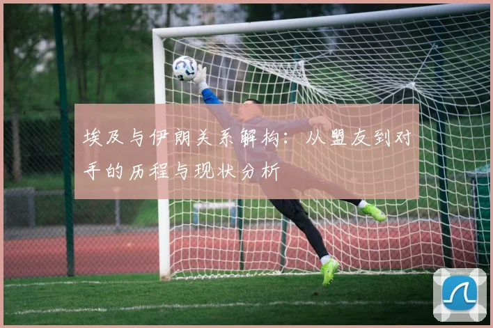 埃及与伊朗关系解构：从盟友到对手的历程与现状分析